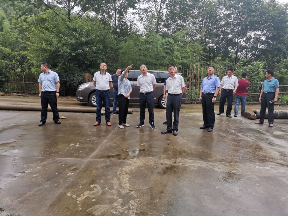 郑刚赴霍山县督导检查防汛工作_六安市应急管理局