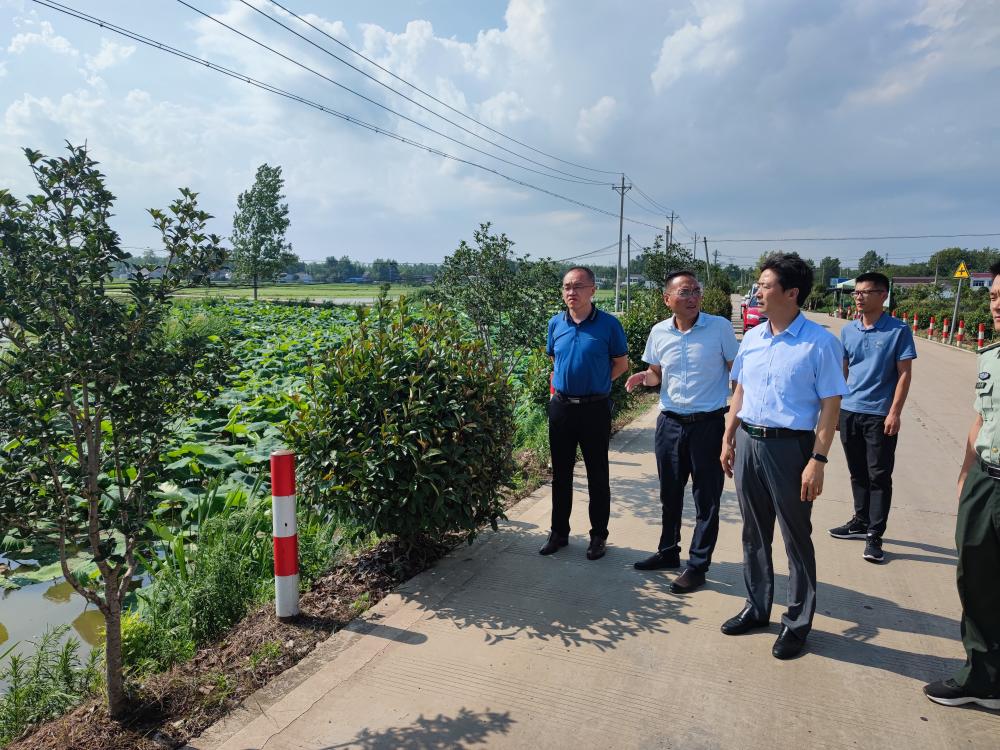 实地查看了叶集区姚李镇,洪集镇,三元镇禁烧值守,禁烧宣传,"蓝天卫士"
